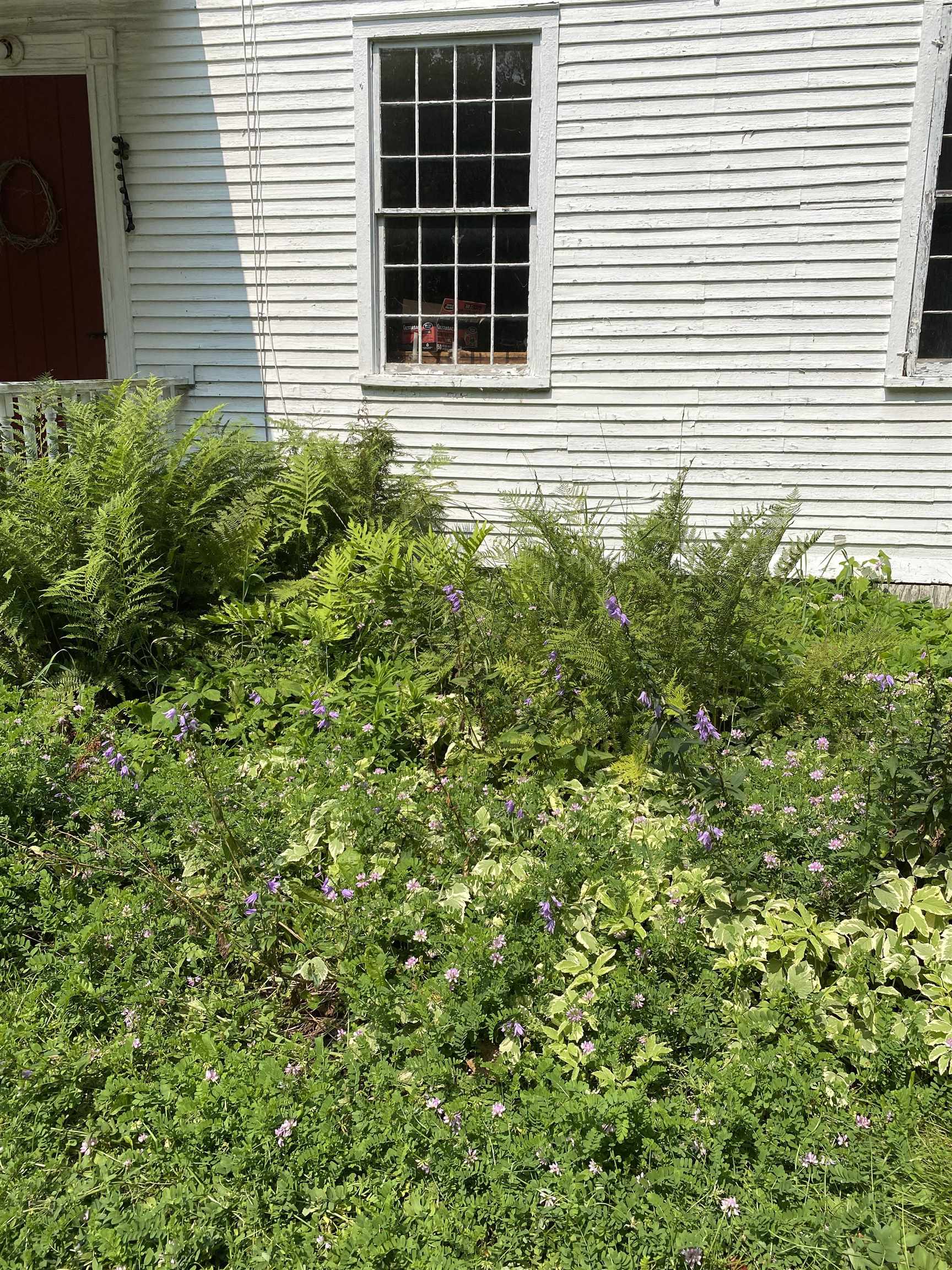 1391 Vermont Rte 125 Ripton, VT 05766 - Photo 3 of 10