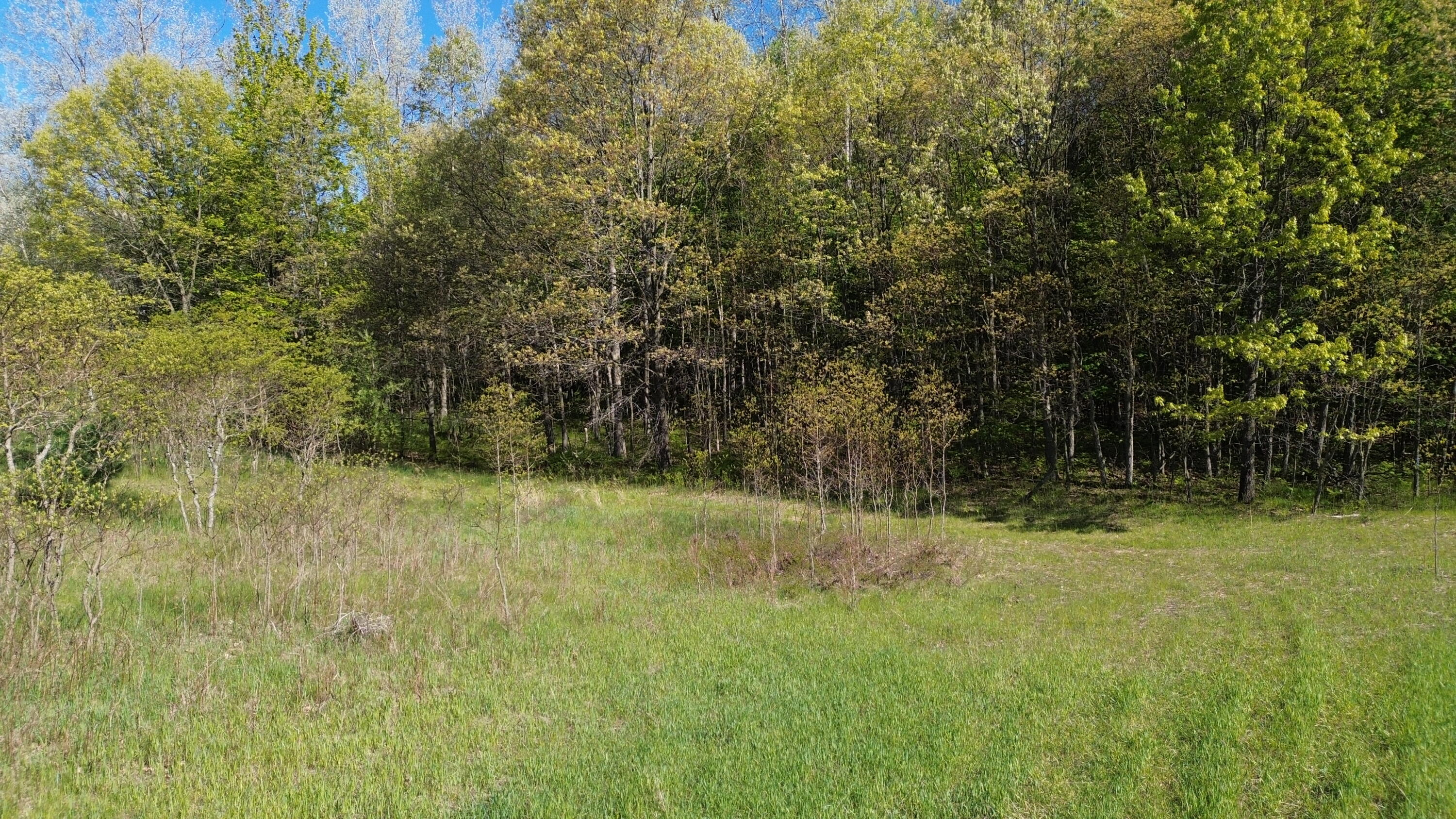 4160 Winter Road Walkerville, MI 49459 - Photo 11 of 22 DJI_0475