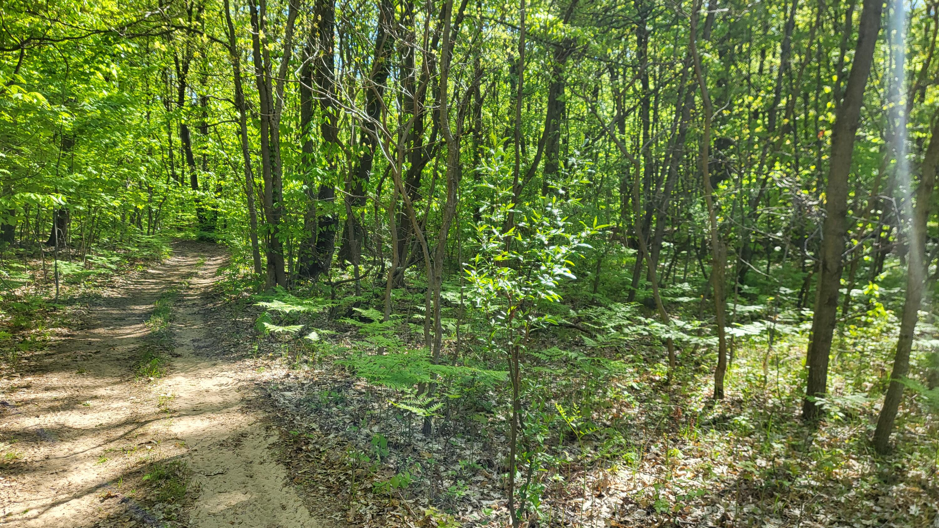 4160 Winter Road Walkerville, MI 49459 - Photo 13 of 22 1000010376