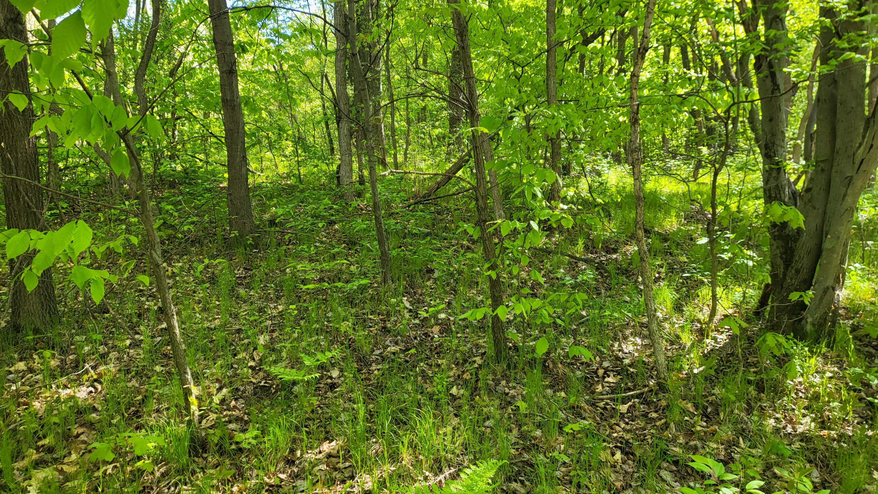 4160 Winter Road Walkerville, MI 49459 - Photo 14 of 22 1000010386