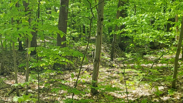 $69,900 | 4160 Winter Road, Walkerville, MI 49459