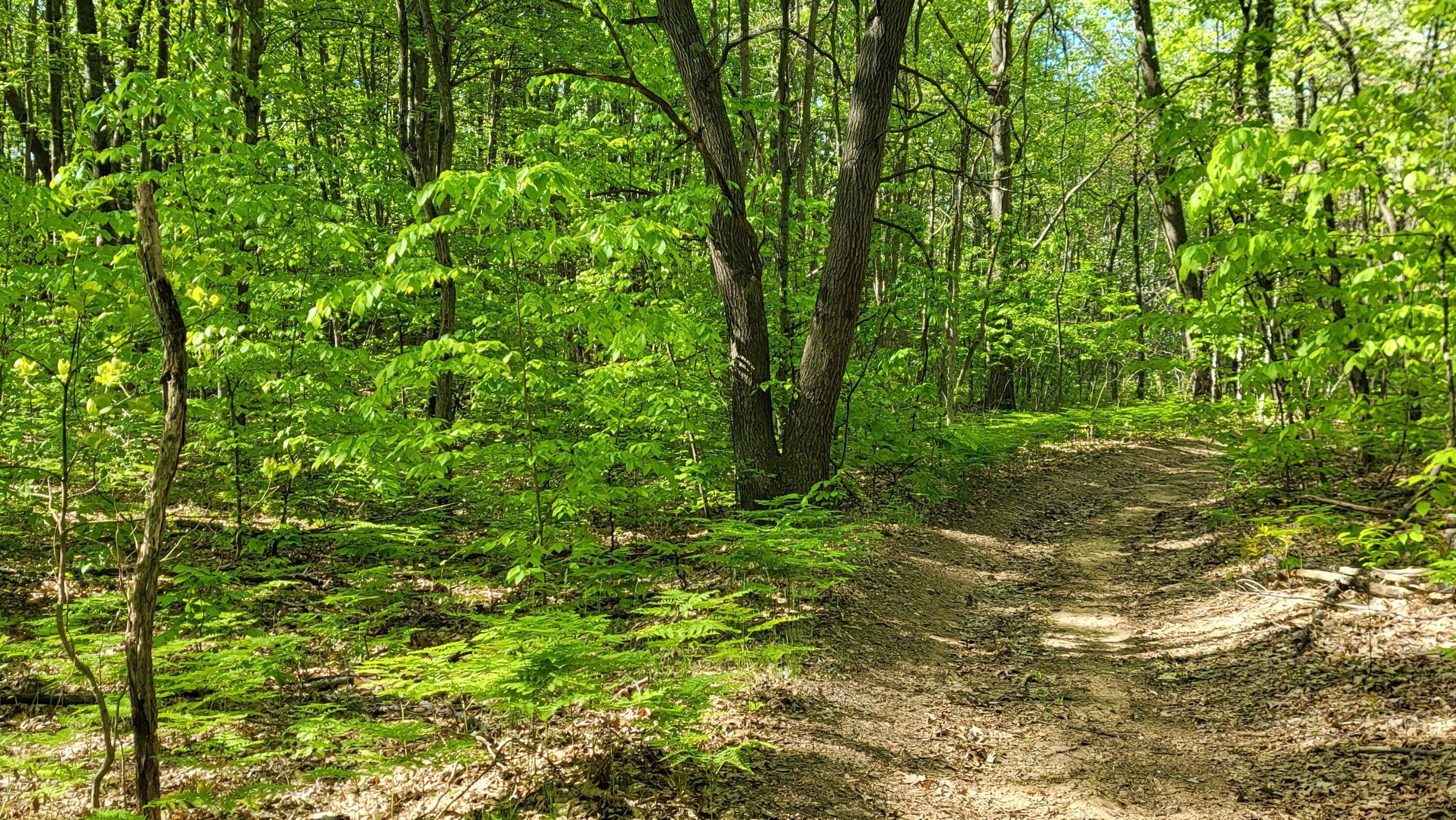 4160 Winter Road Walkerville, MI 49459 - Photo 17 of 22 1000010379