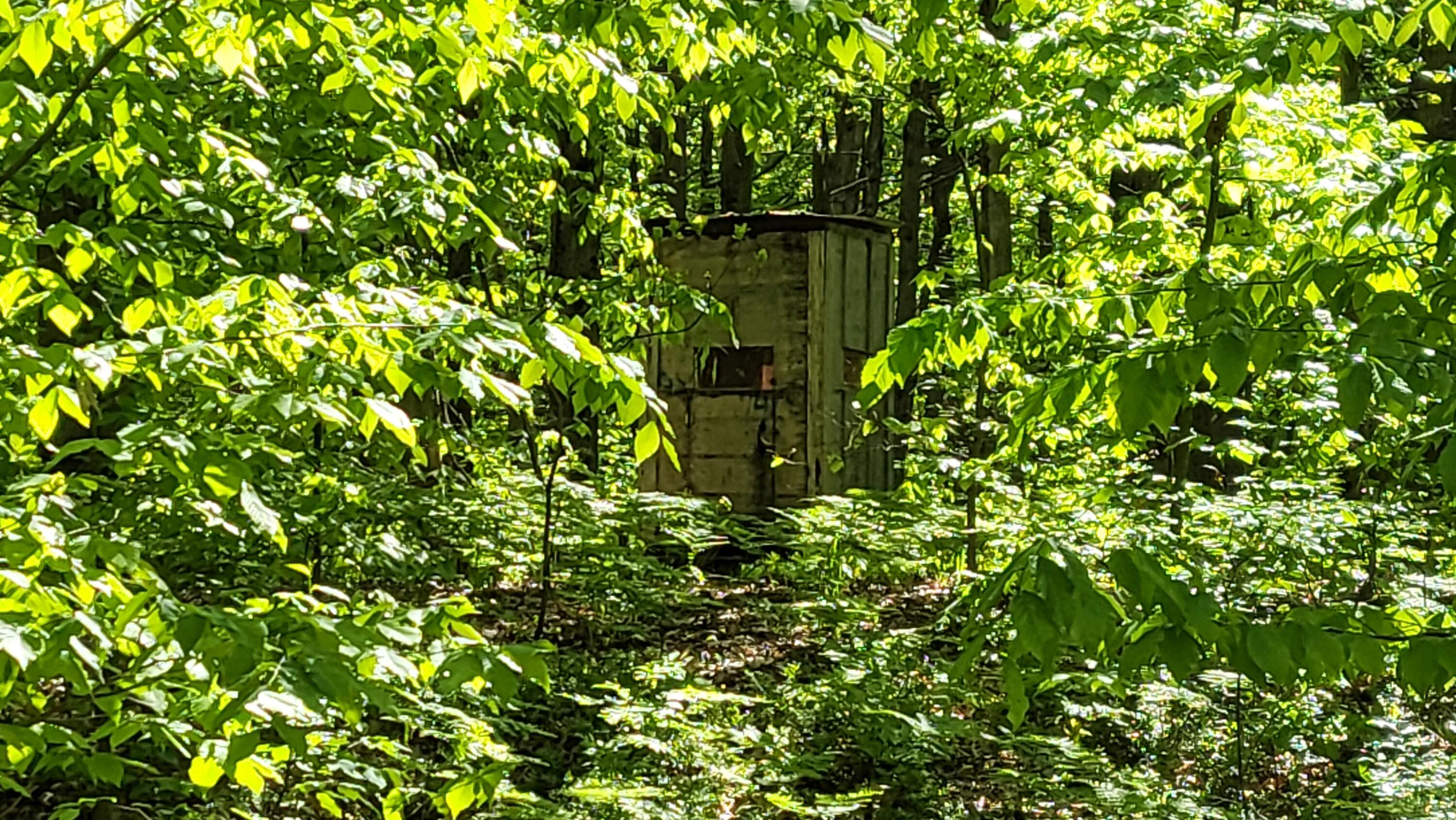 4160 Winter Road Walkerville, MI 49459 - Photo 18 of 22 1000010377