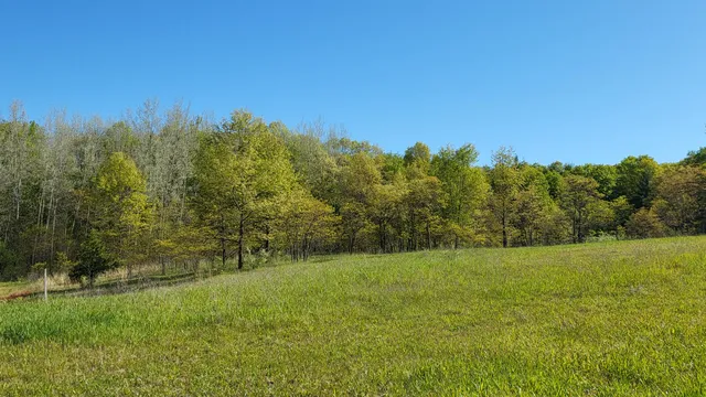 $69,900 | 4160 Winter Road, Walkerville, MI 49459