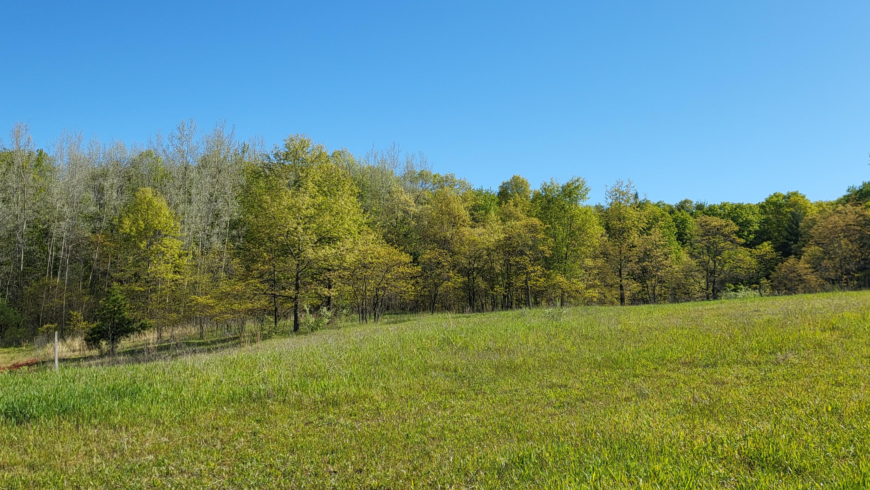 4160 Winter Road Walkerville, MI 49459 - Photo 20 of 22 1000010373