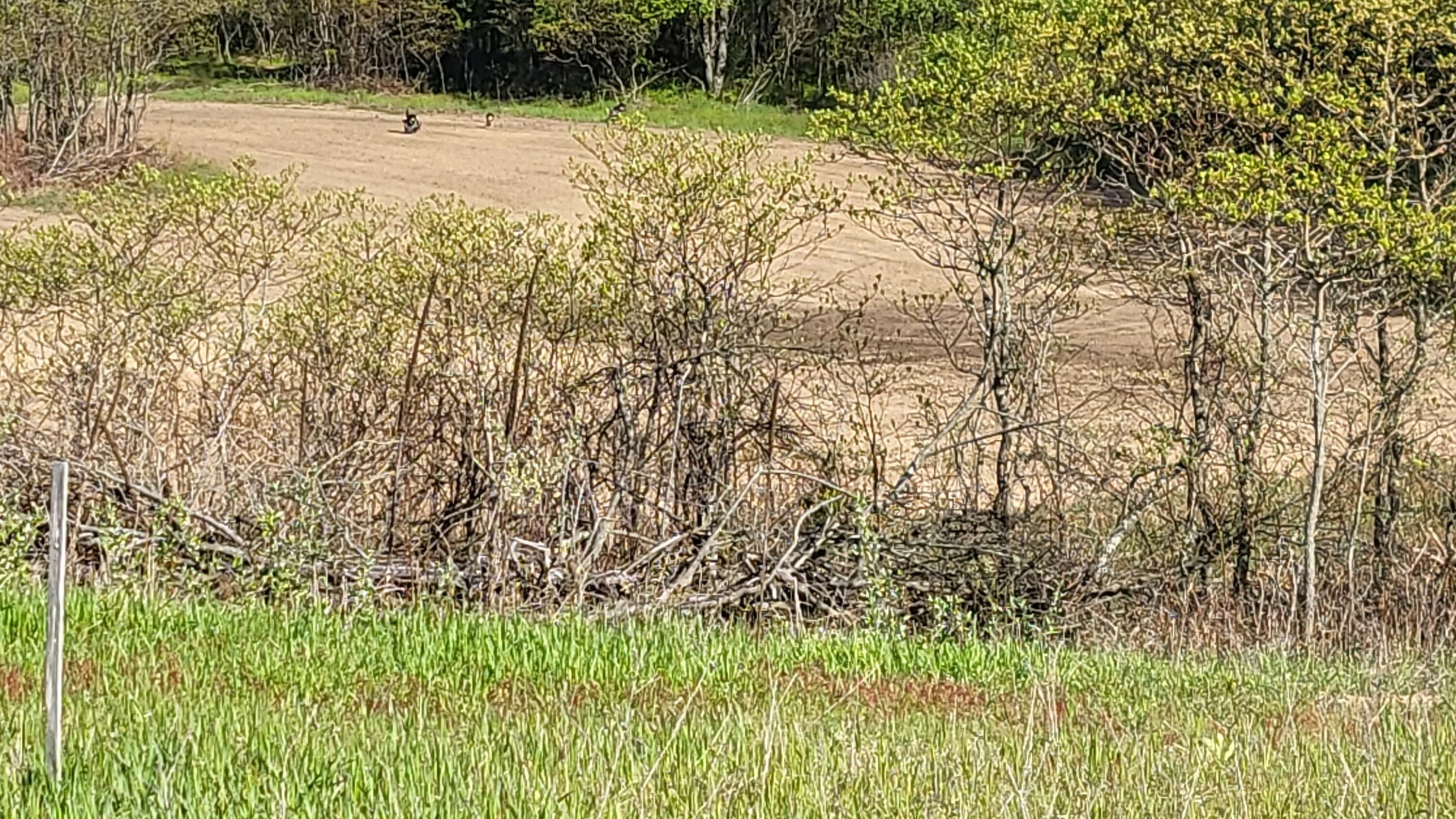 4160 Winter Road Walkerville, MI 49459 - Photo 21 of 22 1000010375