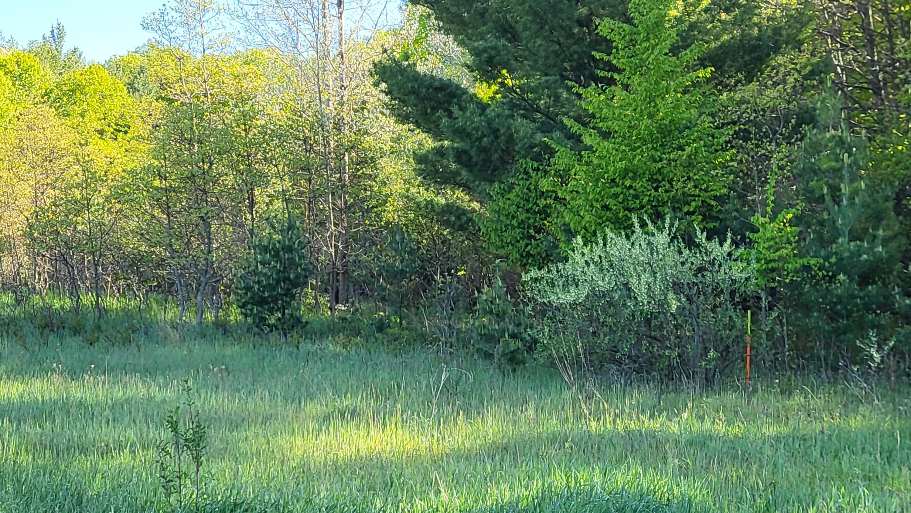 4160 Winter Road Walkerville, MI 49459 - Photo 22 of 22 1000010374