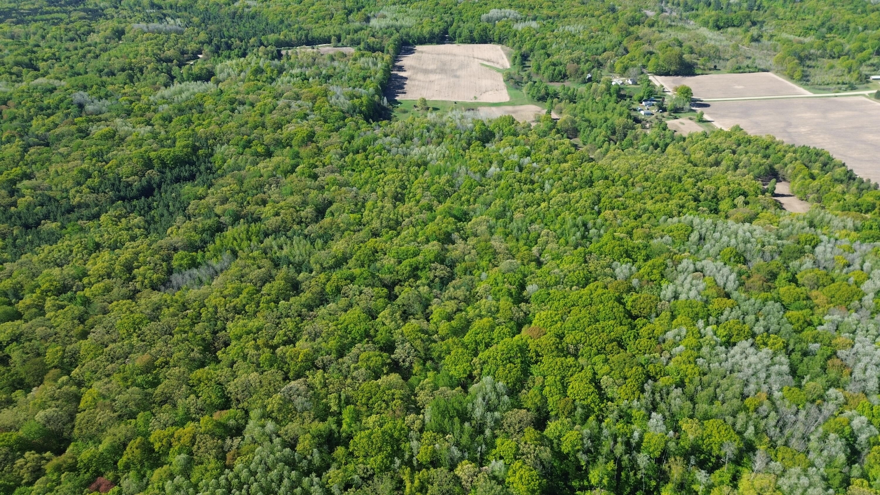 4160 Winter Road Walkerville, MI 49459 - Photo 3 of 22 DJI_0469