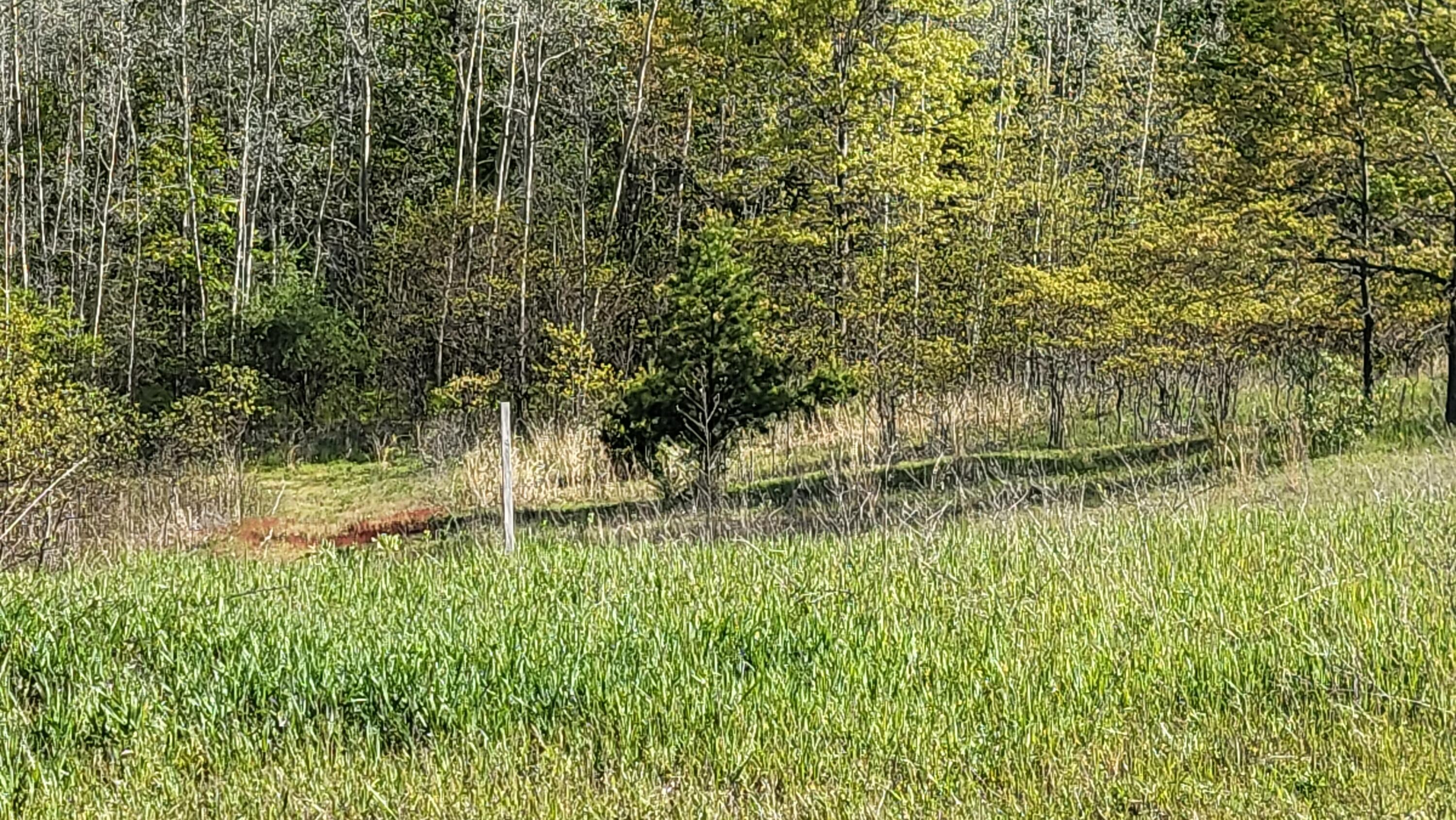 4160 Winter Road Walkerville, MI 49459 - Photo 7 of 22 1000010371