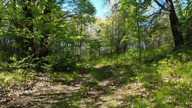 $69,900 | 4160 Winter Road, Walkerville, MI 49459