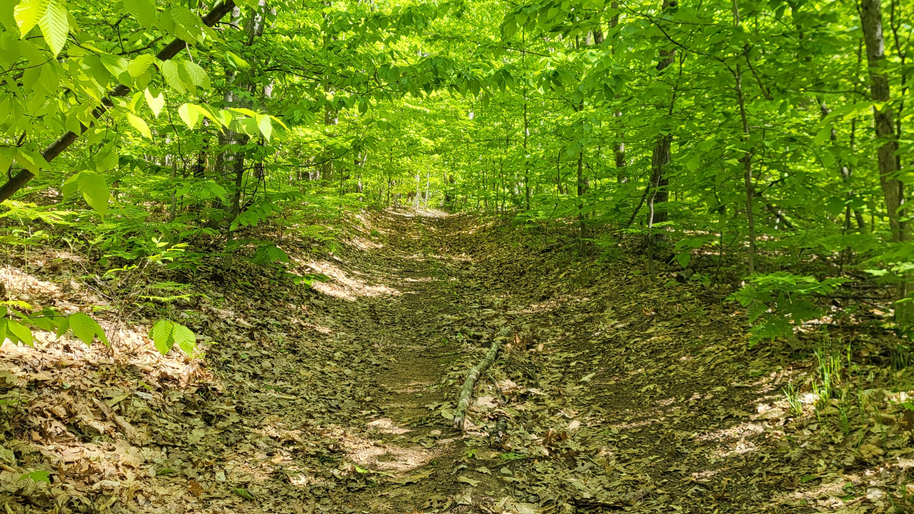 4160 Winter Road Walkerville, MI 49459 - Photo 9 of 22 1000010380