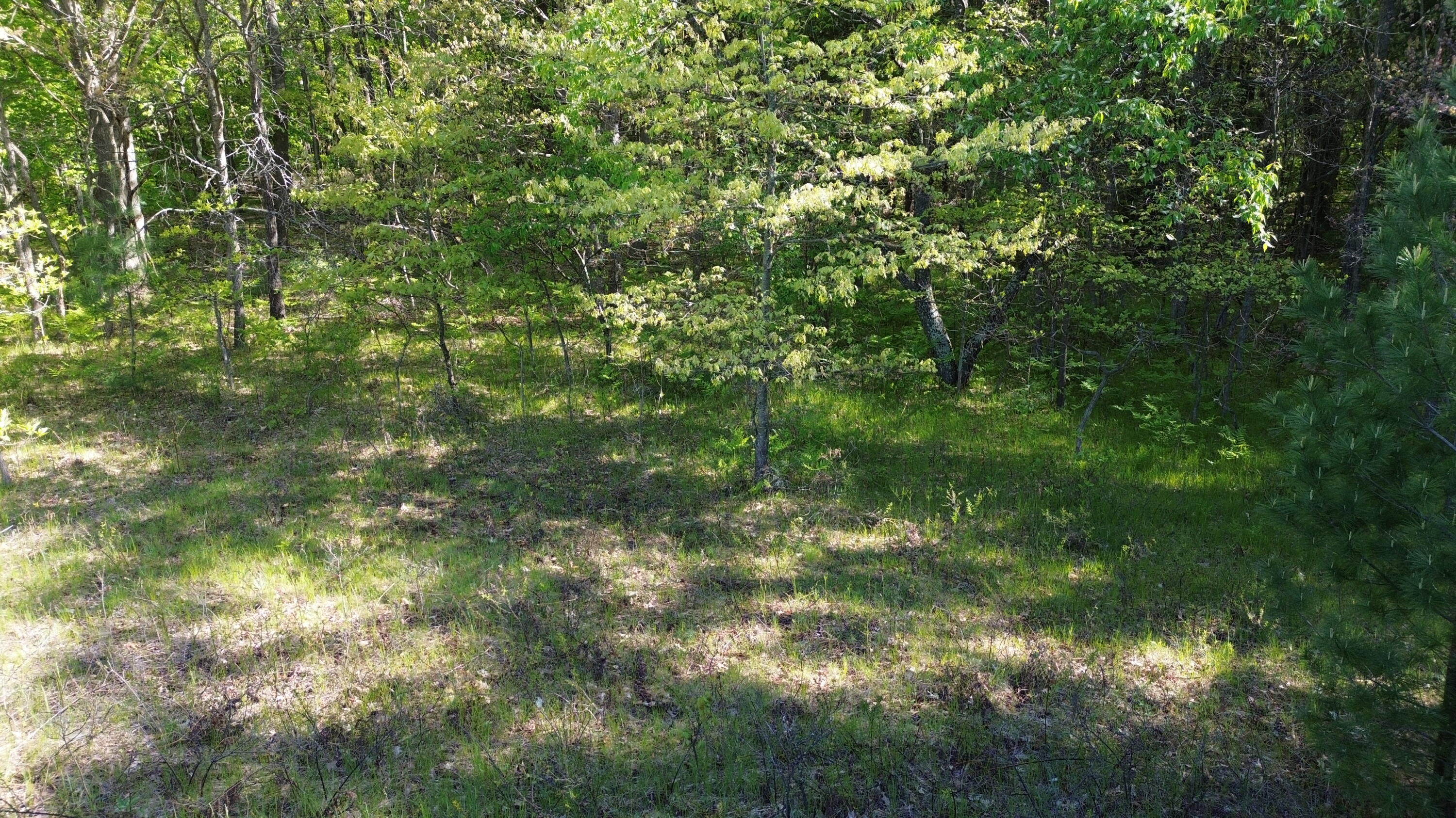 4160 Winter Road Walkerville, MI 49459 - Photo 10 of 22 DJI_0478