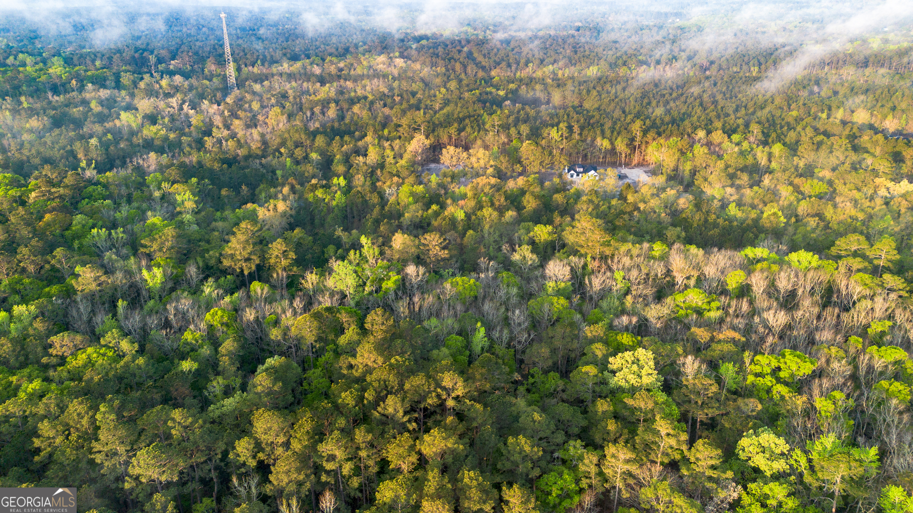 0 Little McCall Road Rincon, GA 31326 - Photo 4 of 12 a view of a green field