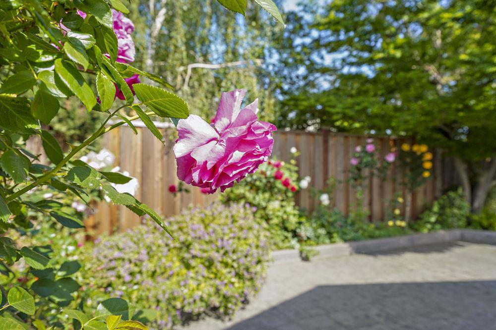 222 Thomas Drive Los Gatos, CA 95032 - Photo 13 of 28 a street view
