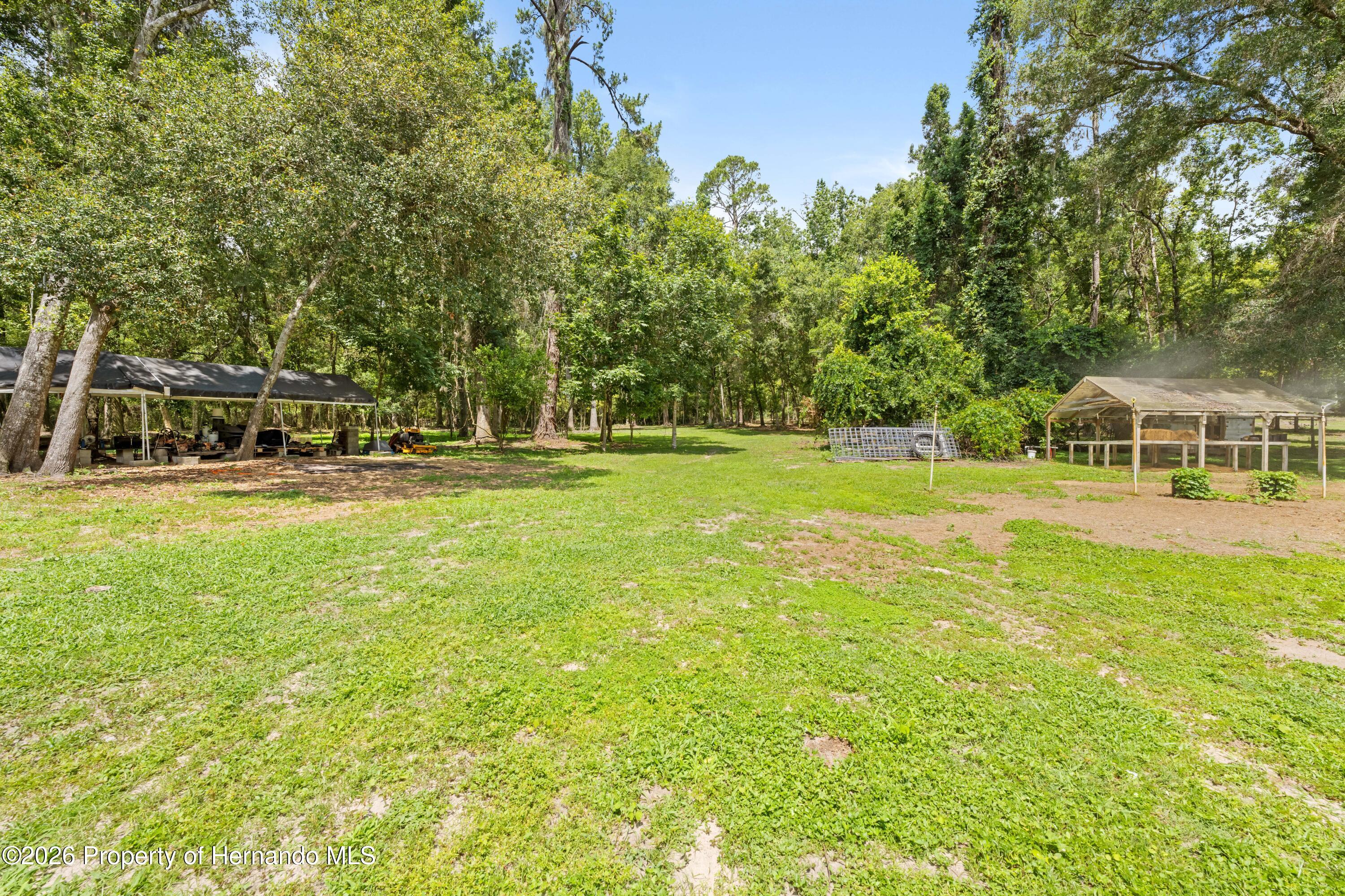 3311 Baseball Pond Road Brooksville, FL 34602 - Photo 13 of 18 a view of a swimming pool with a yard and trees