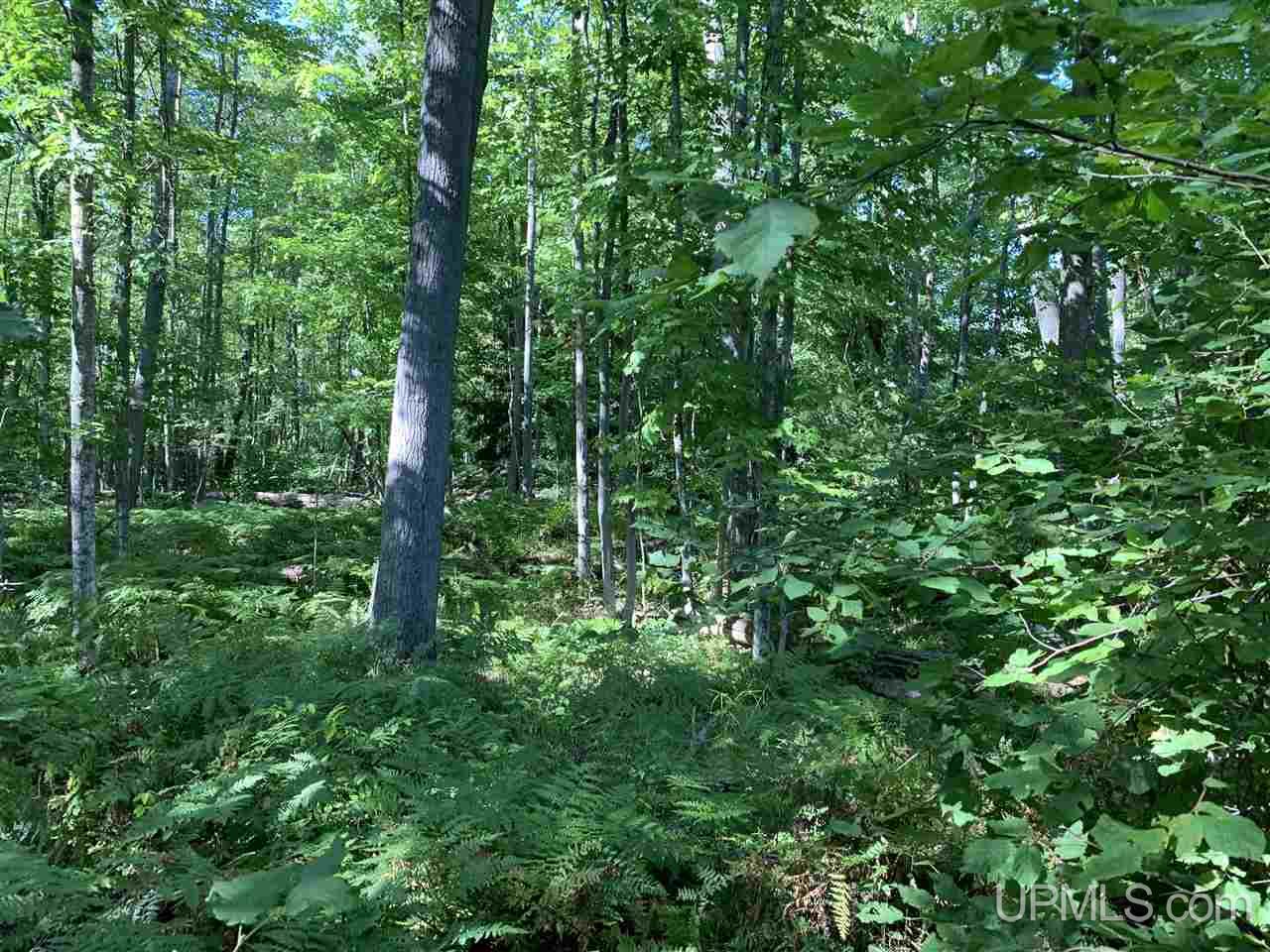 6 Indian Cemetery Road Lanse, MI 49946 - Photo 14 of 16