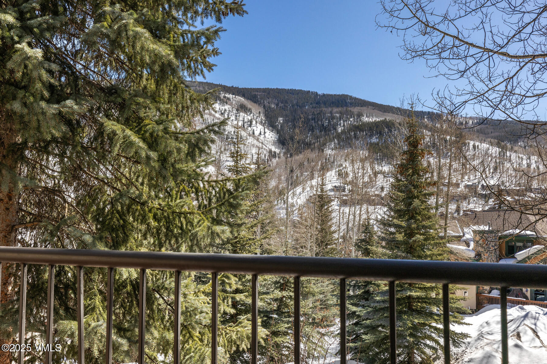1881 Lions Ridge Loop, Unit 2 Vail, CO 81657 - Photo 32 of 41 a view of a yard from a balcony