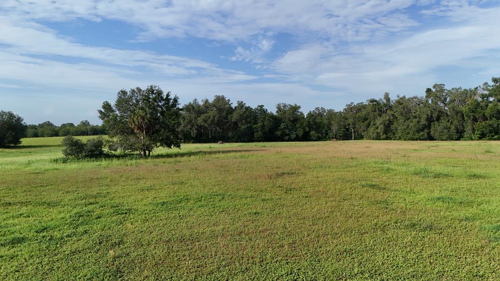 Vacant 145th Road Live Oak, FL 32060 - Photo 18 of 42