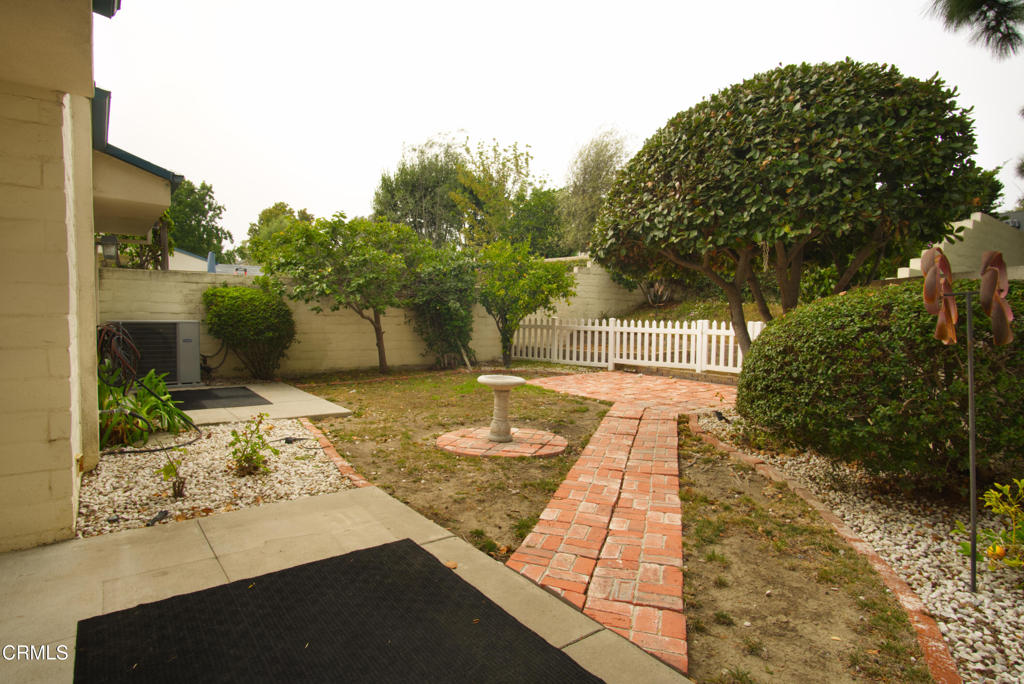 7979 Stone Street Ventura, CA 93004 - Photo 17 of 20 Backyard1 (1)