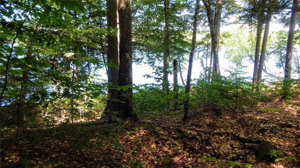 Lot 10 Shue Road Ripley, ME 04930 - Photo 15 of 25 Photo