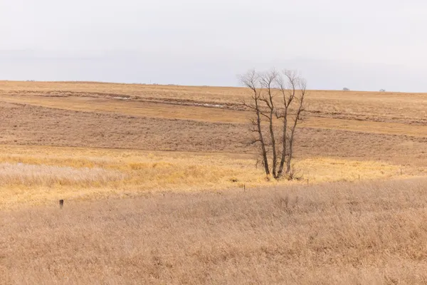 $1 | 1587 18th Avenue Northwest, Turtle Lake, ND 58575