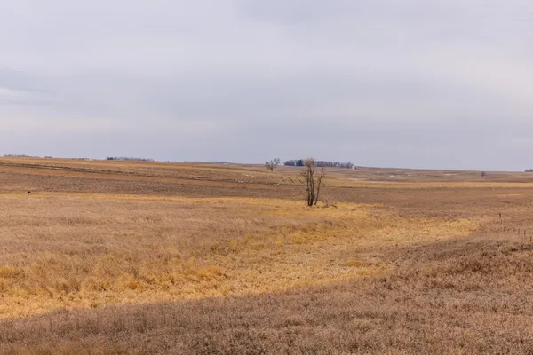 $1 | 1587 18th Avenue Northwest, Turtle Lake, ND 58575