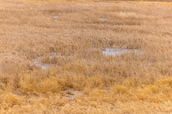 $1 | 1587 18th Avenue Northwest, Turtle Lake, ND 58575