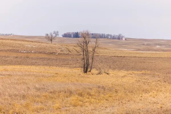 $1 | 1587 18th Avenue Northwest, Turtle Lake, ND 58575