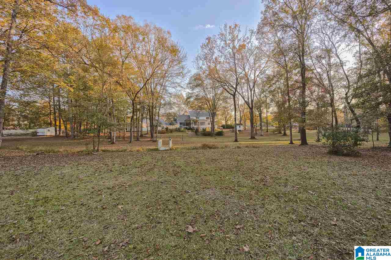 145 River Run Road Childersburg, AL 35044 - Photo 40 of 49