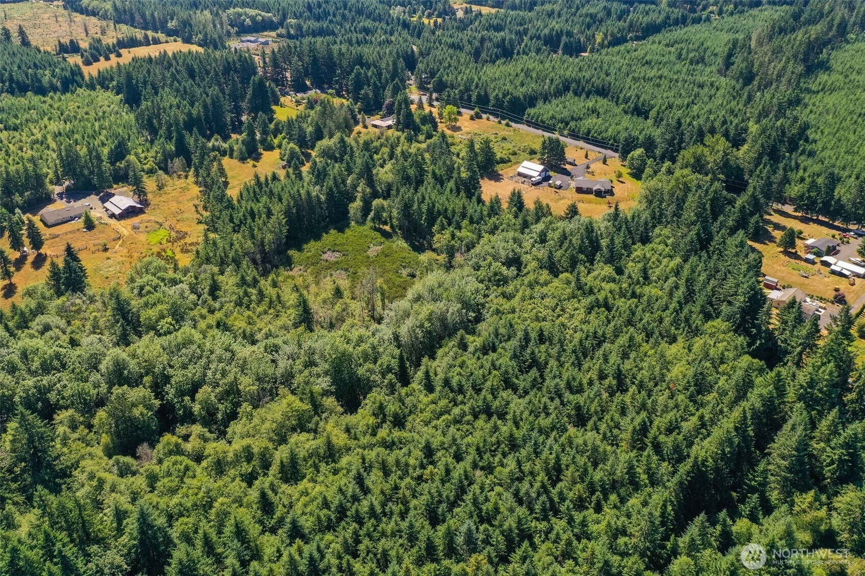 243 Hawkins Road Winlock, WA 98596 - Photo 8 of 12