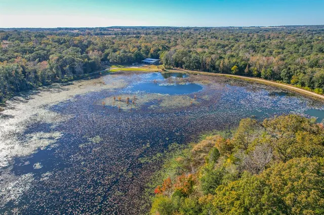 a view of a dry yard with wooden fence