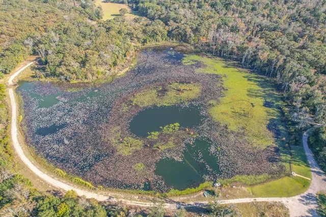 a view of an ocean and beach