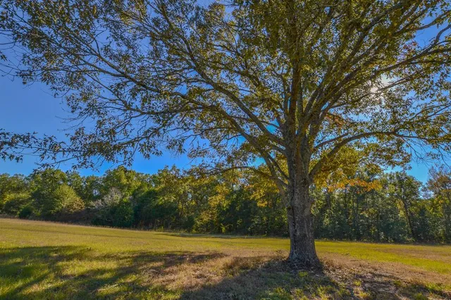 a view of a lake with a yard and mountain view
