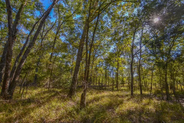 a backyard of a building