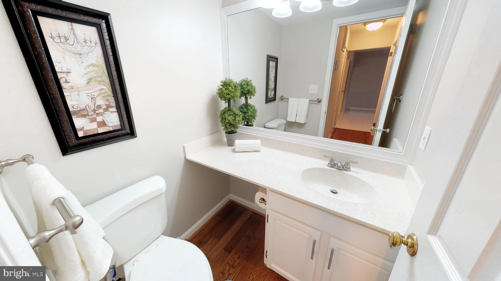 1805 Batten Hollow Road Vienna, VA 22182 - Photo 15 of 42 Powder Room