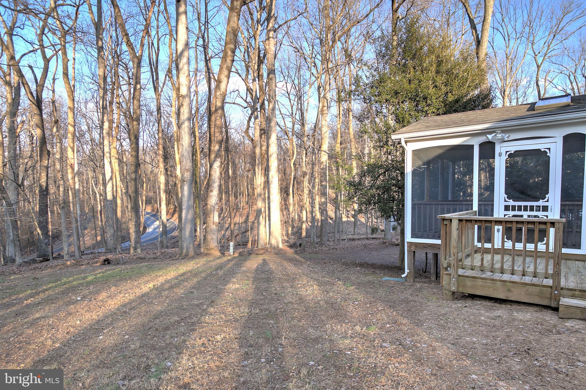1805 Batten Hollow Road Vienna, VA 22182 - Photo 33 of 42 Wooded Rear Yard
