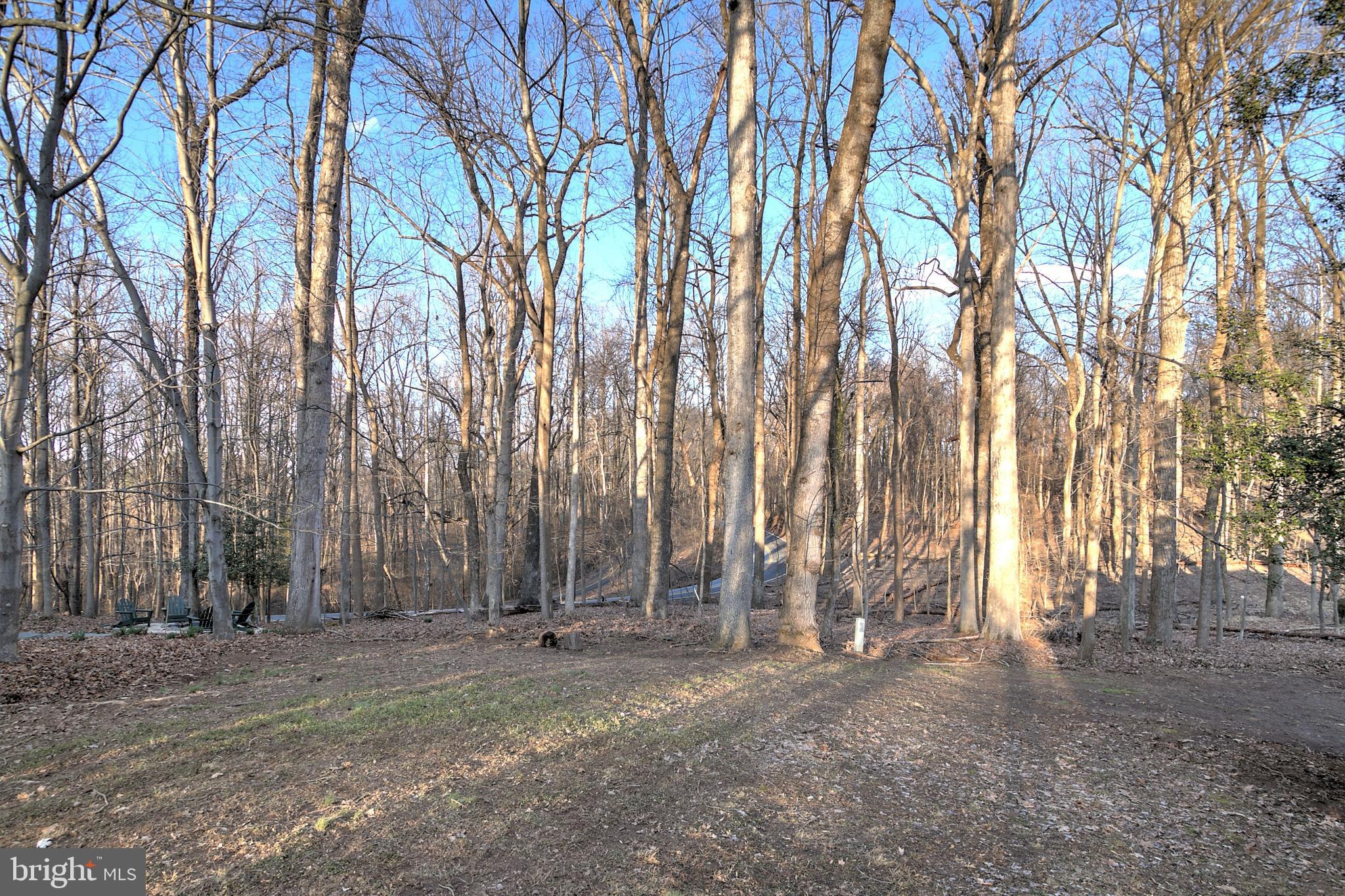 1805 Batten Hollow Road Vienna, VA 22182 - Photo 35 of 42 Such a Private Backyard!