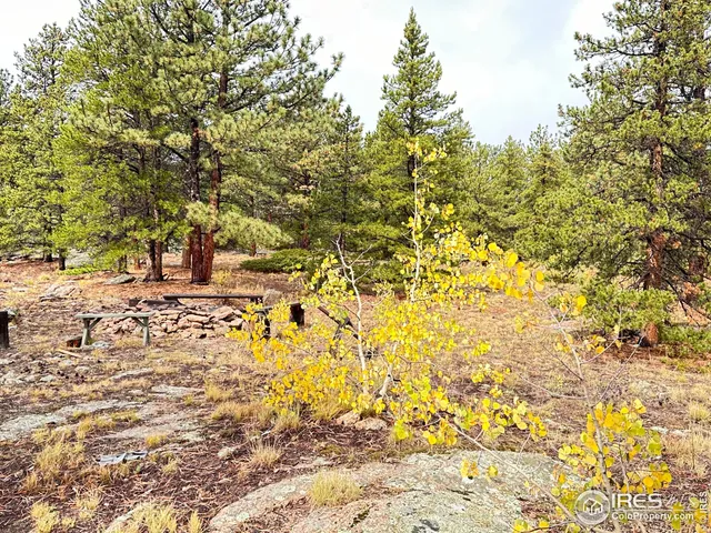 $260,000 | 11650 Peak To Peak Highway, Allenspark, CO 80510