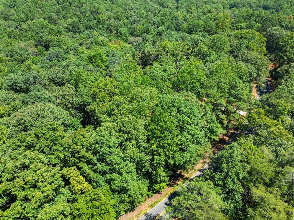 0 Holly Springs Road Toccoa, GA 30577 - Photo 10 of 18 Gallery Image 10