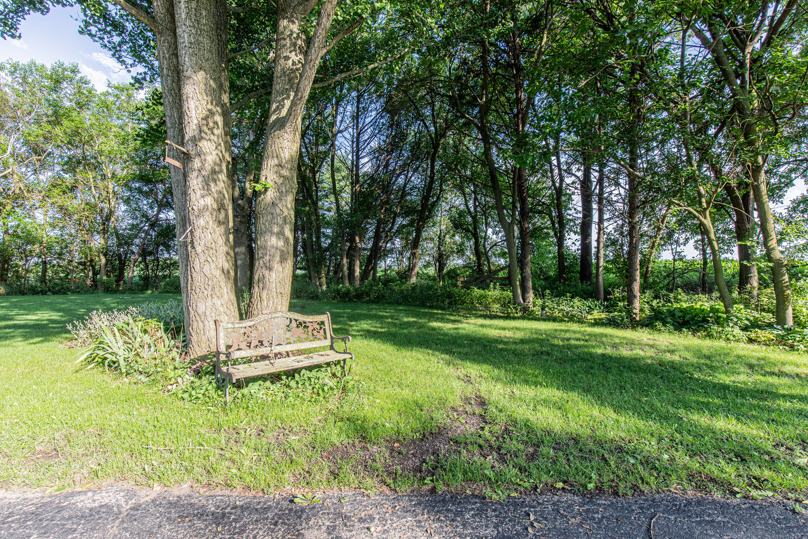 541 North 17th Road Tonica, IL 61370 - Photo 14 of 32