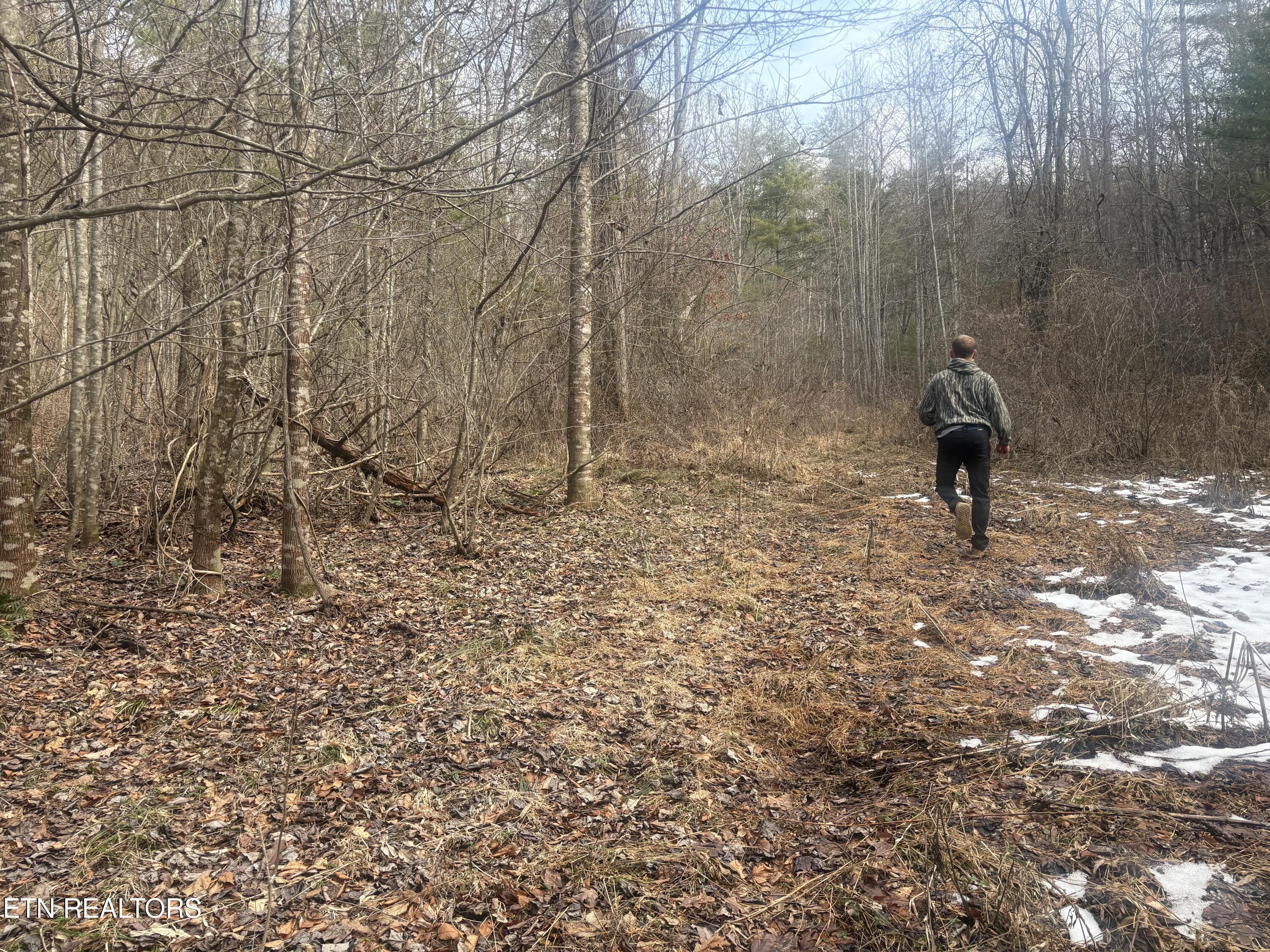 --- Sugar Maple Way Del Rio, TN 37727 - Photo 17 of 25 IMG_7958