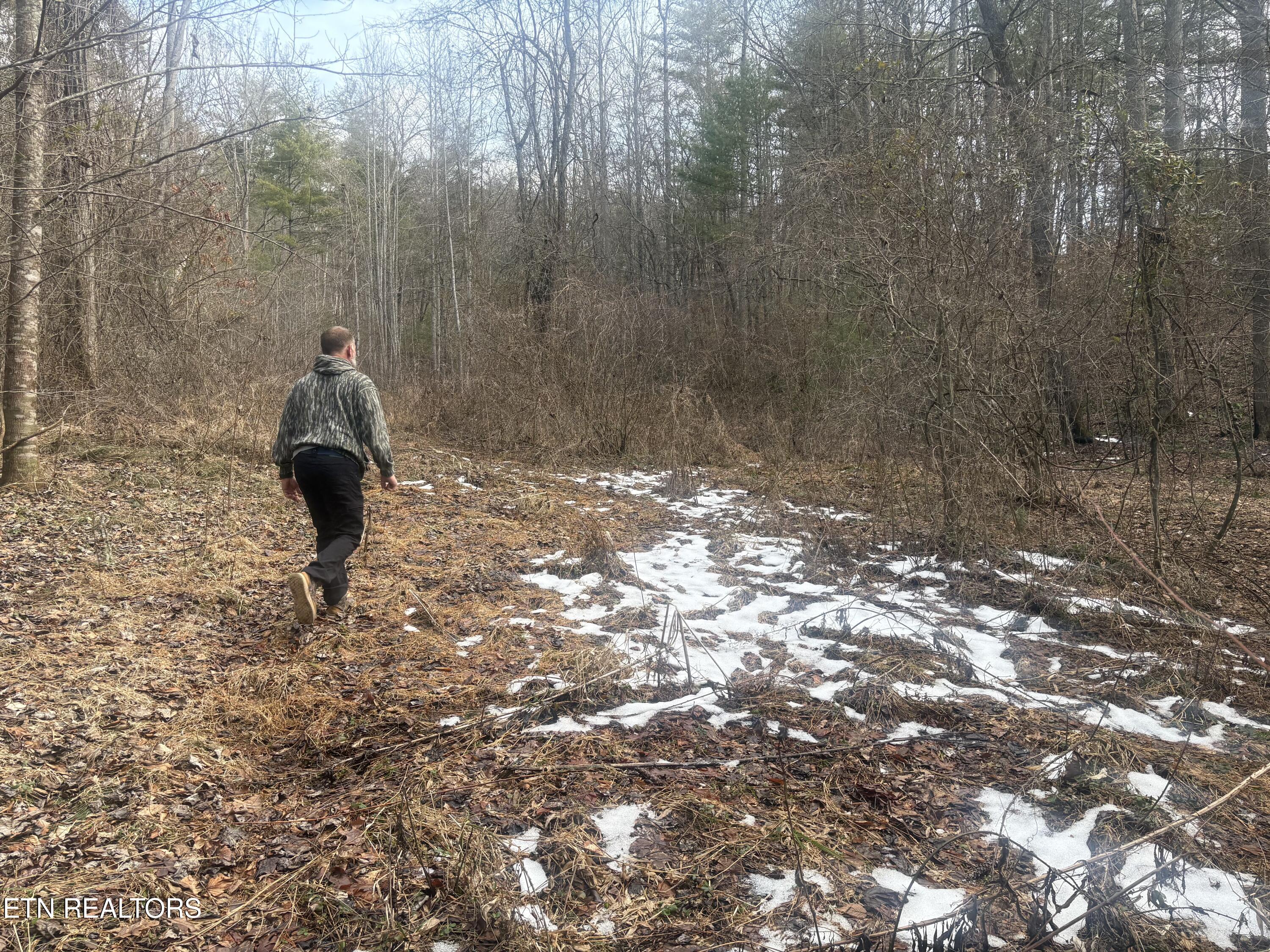 --- Sugar Maple Way Del Rio, TN 37727 - Photo 18 of 25 IMG_7957