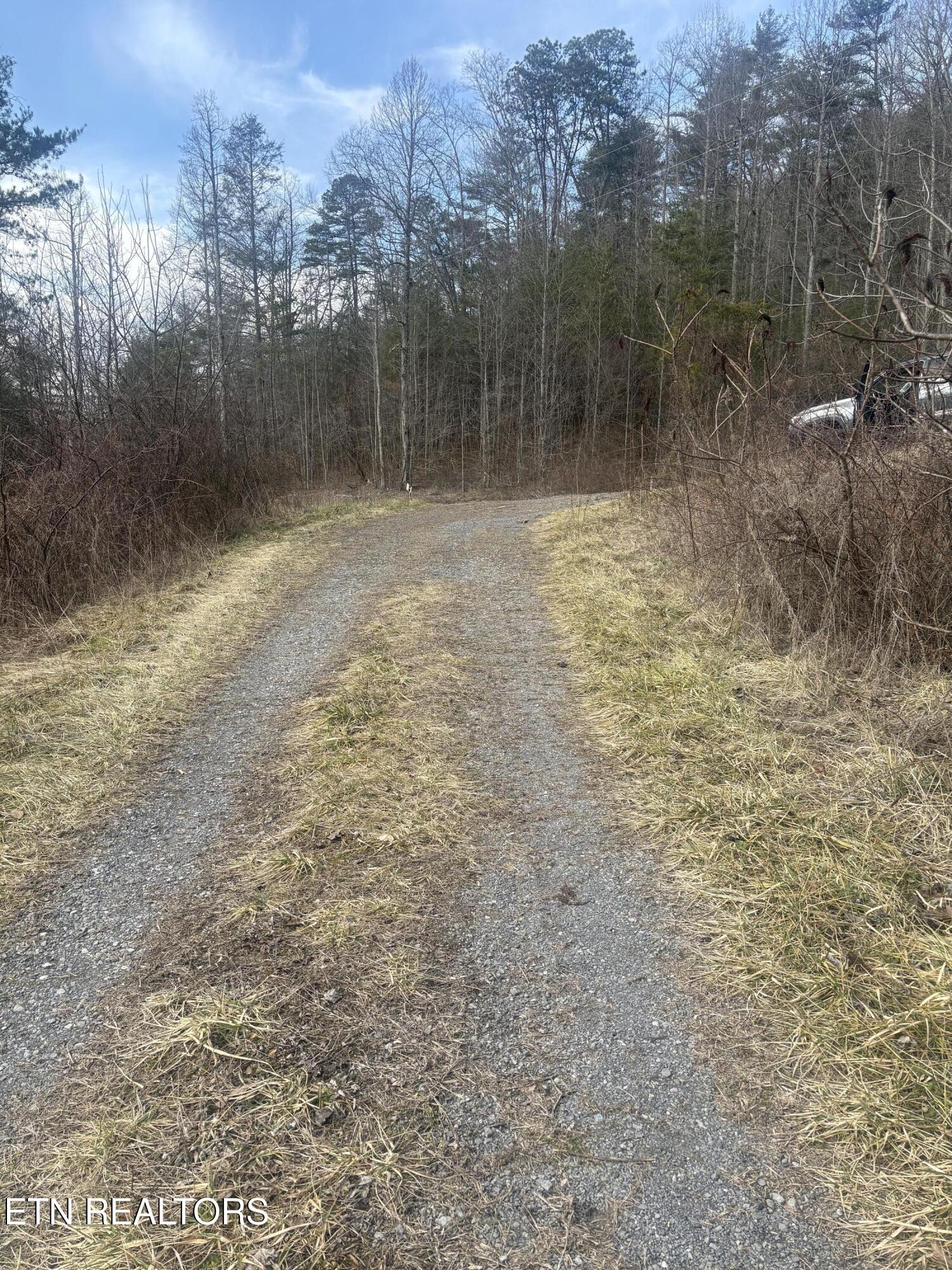 --- Sugar Maple Way Del Rio, TN 37727 - Photo 20 of 25 IMG_7984