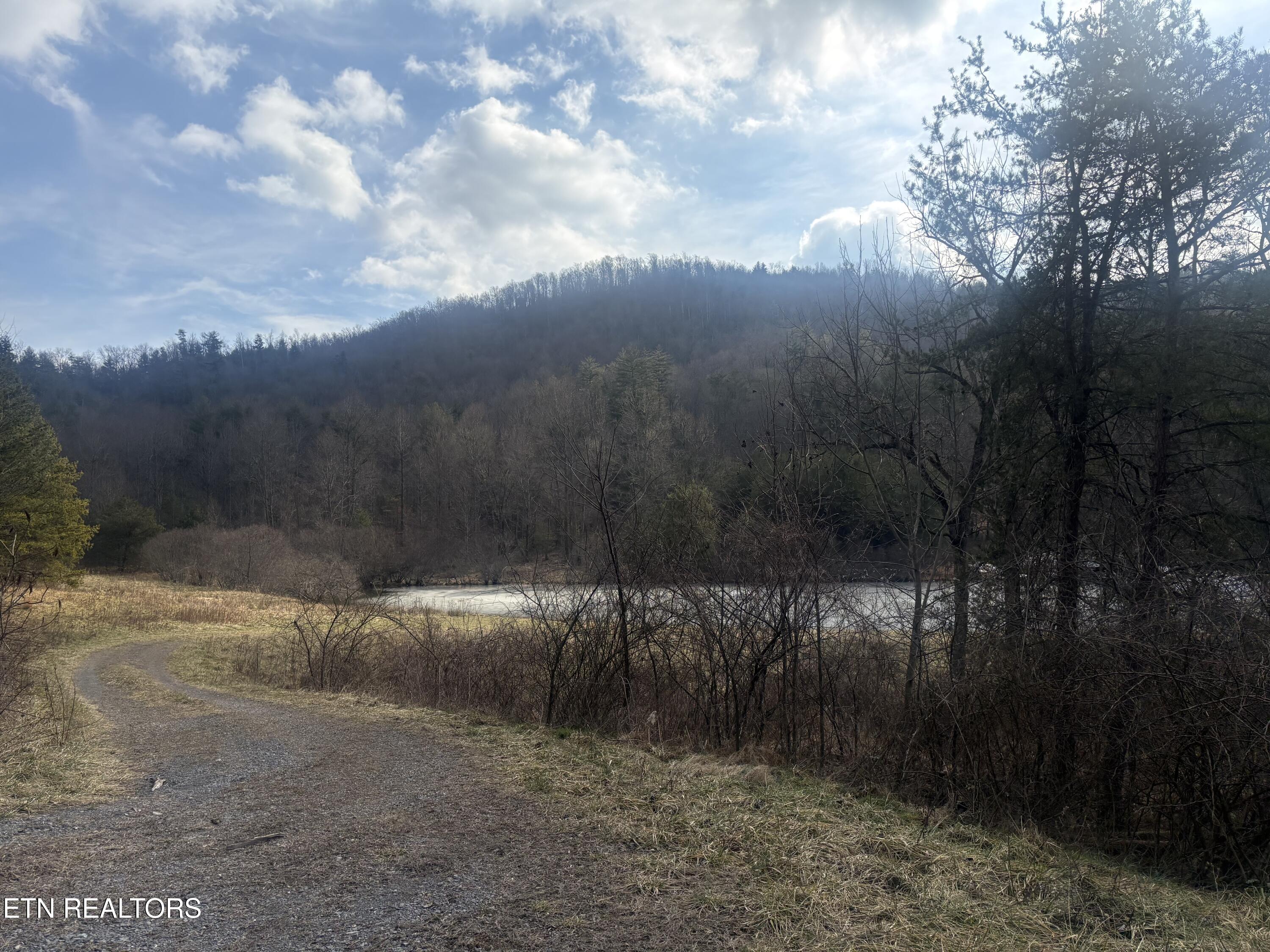 --- Sugar Maple Way Del Rio, TN 37727 - Photo 22 of 25 IMG_7978