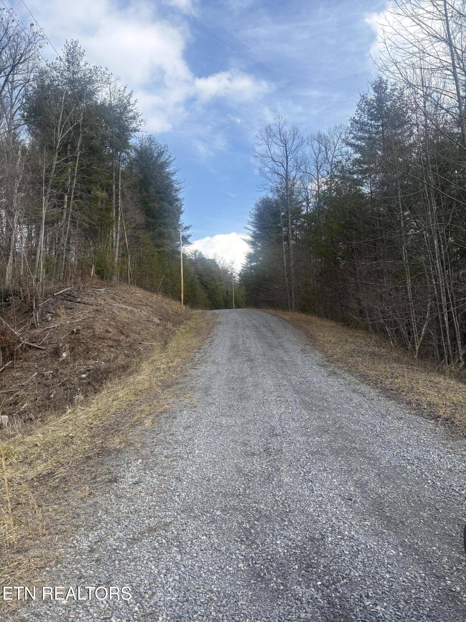 --- Sugar Maple Way Del Rio, TN 37727 - Photo 23 of 25 IMG_7976