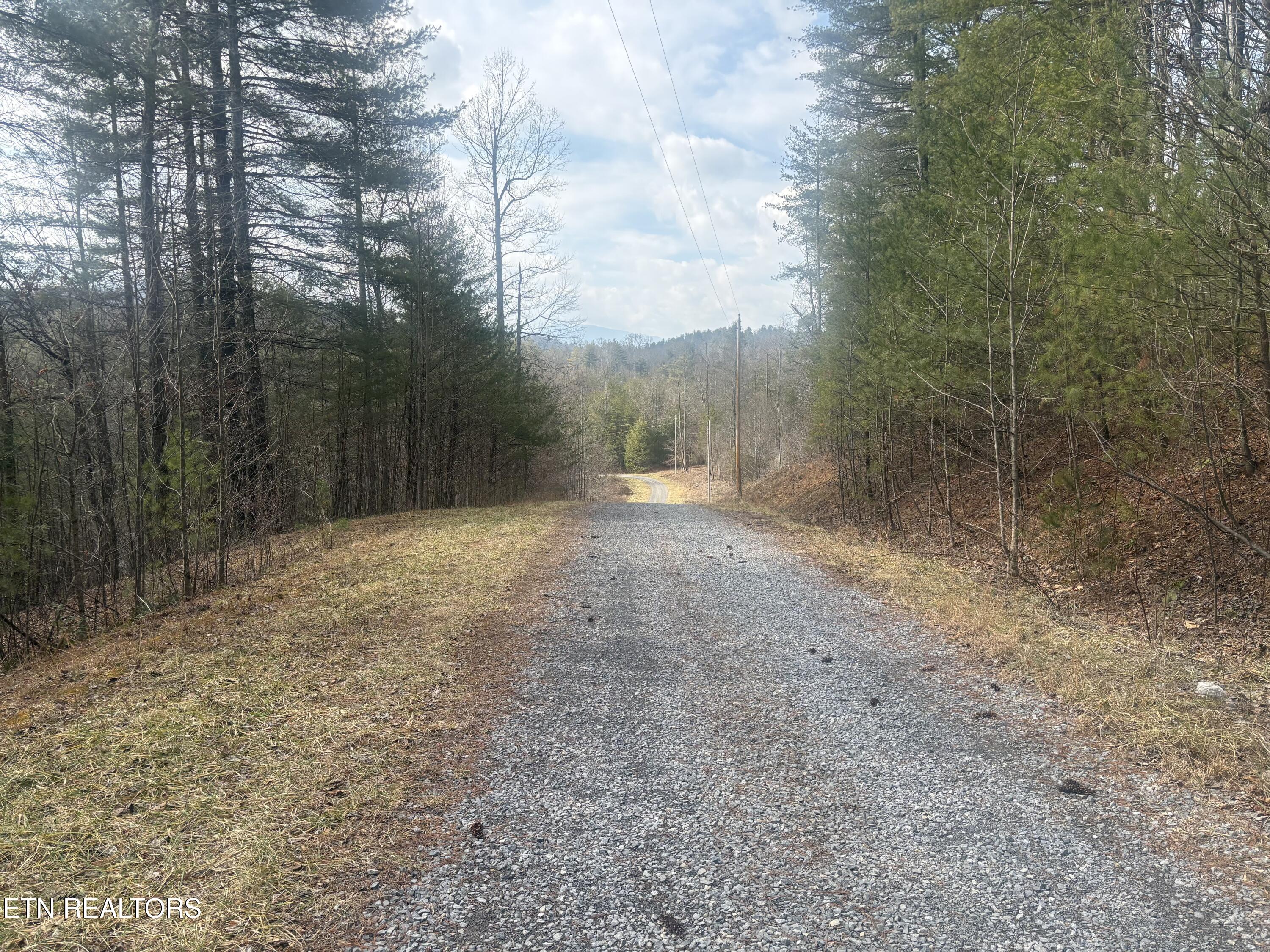 --- Sugar Maple Way Del Rio, TN 37727 - Photo 25 of 25 IMG_7972