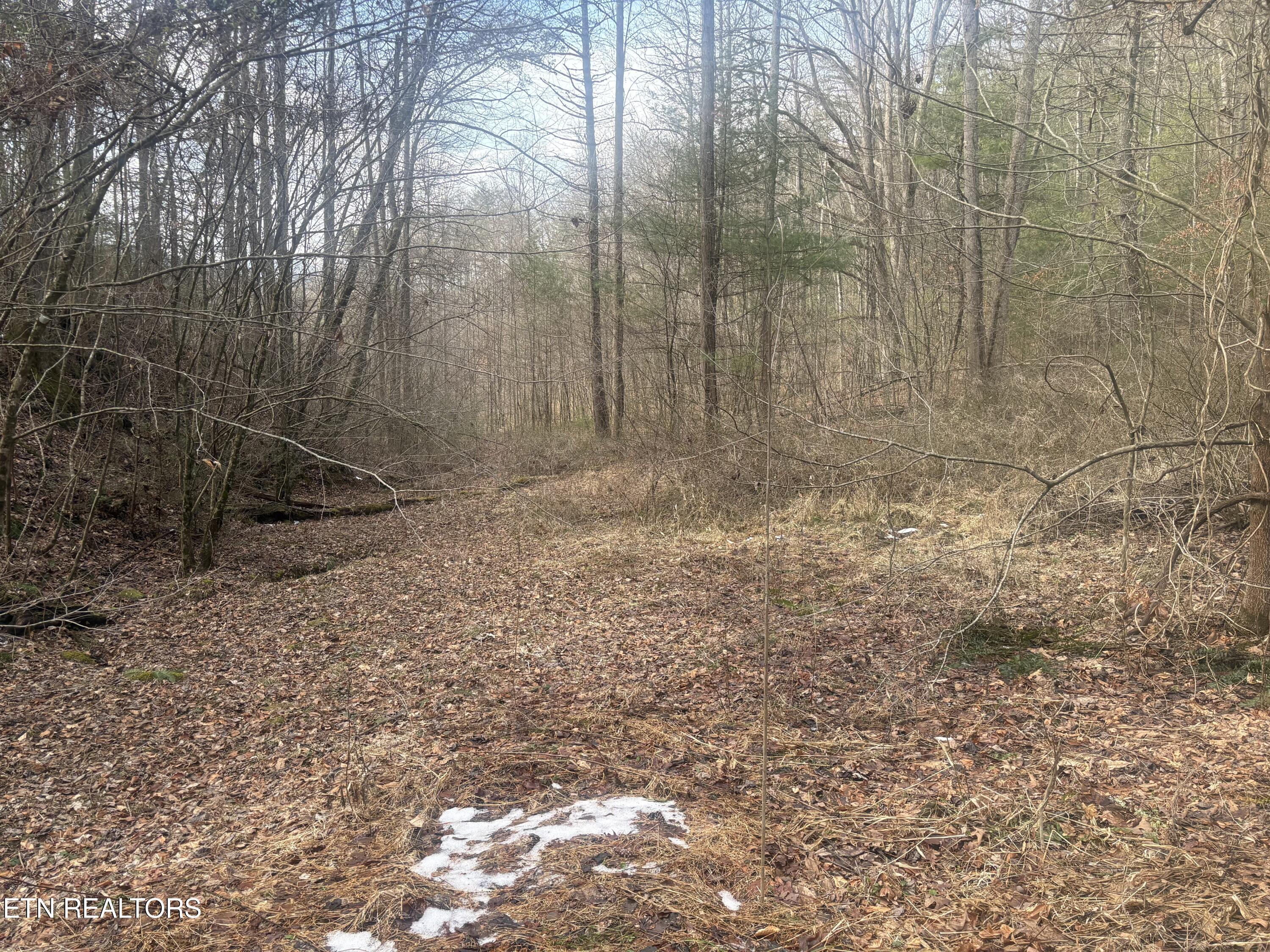 --- Sugar Maple Way Del Rio, TN 37727 - Photo 5 of 25 IMG_7961