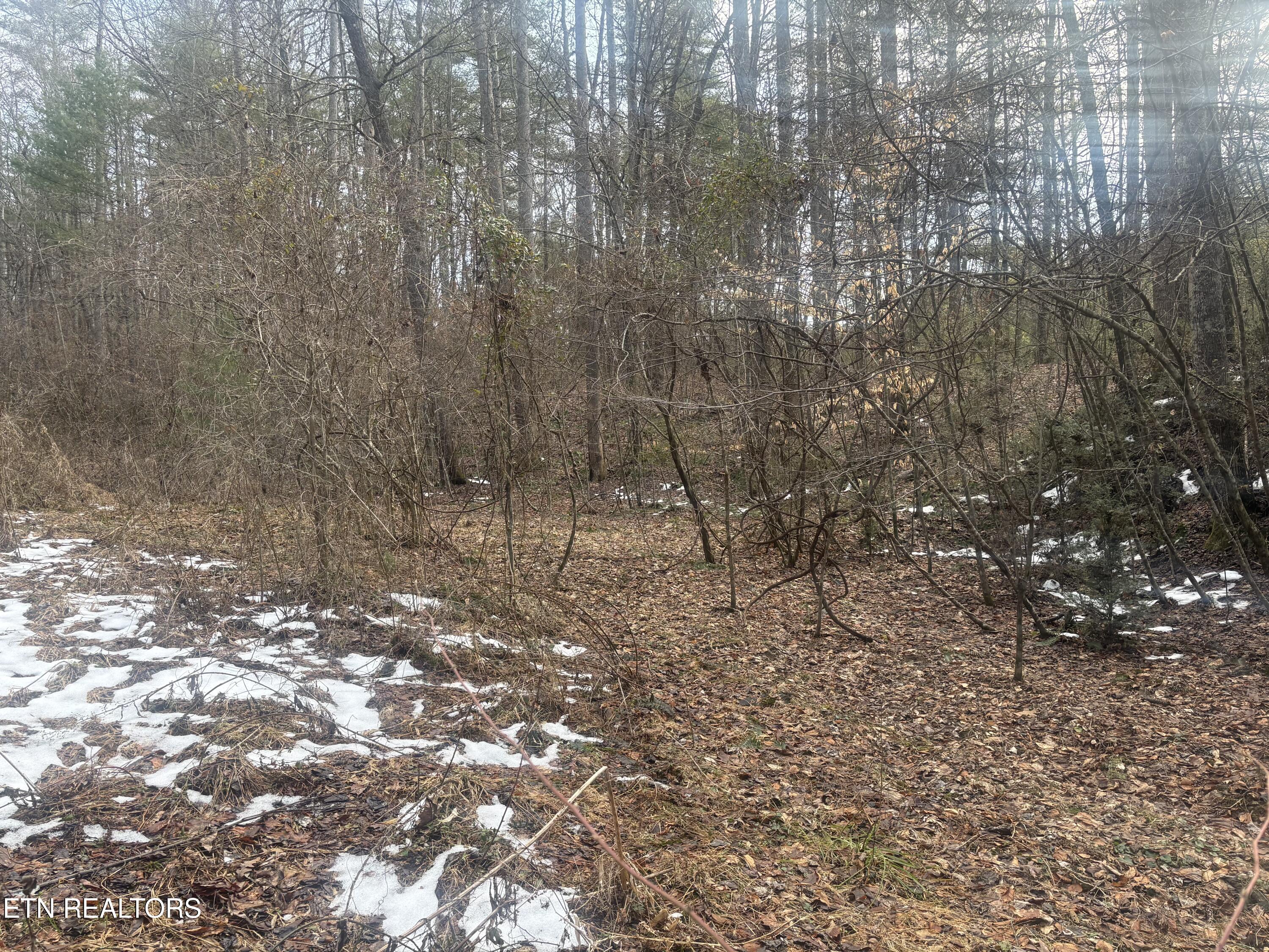 --- Sugar Maple Way Del Rio, TN 37727 - Photo 7 of 25 IMG_7959