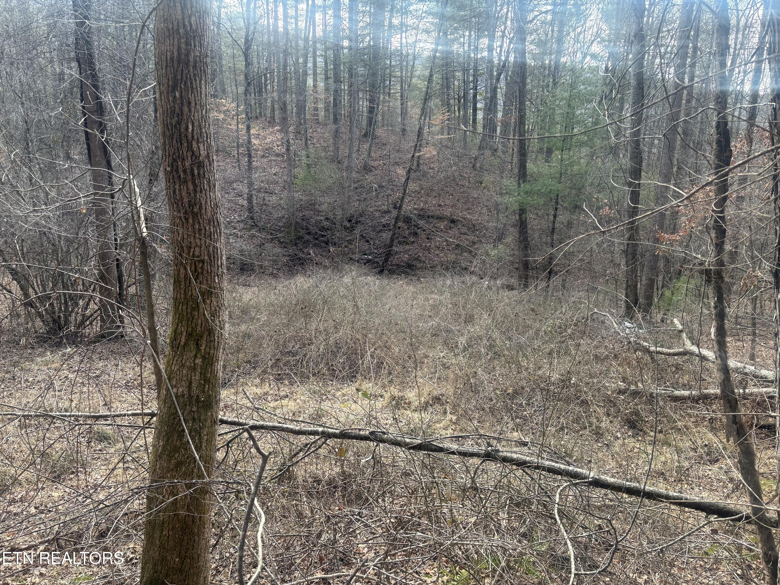 --- Sugar Maple Way Del Rio, TN 37727 - Photo 9 of 25 IMG_7955