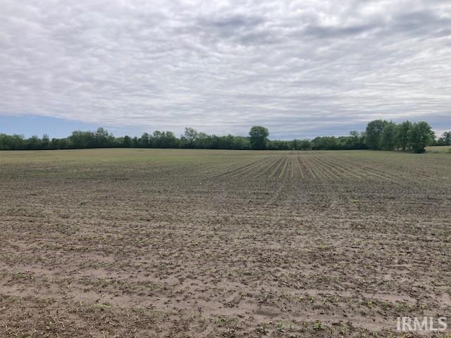835 South Delaware County Road Parker City, IN 47368 - Photo 7 of 8